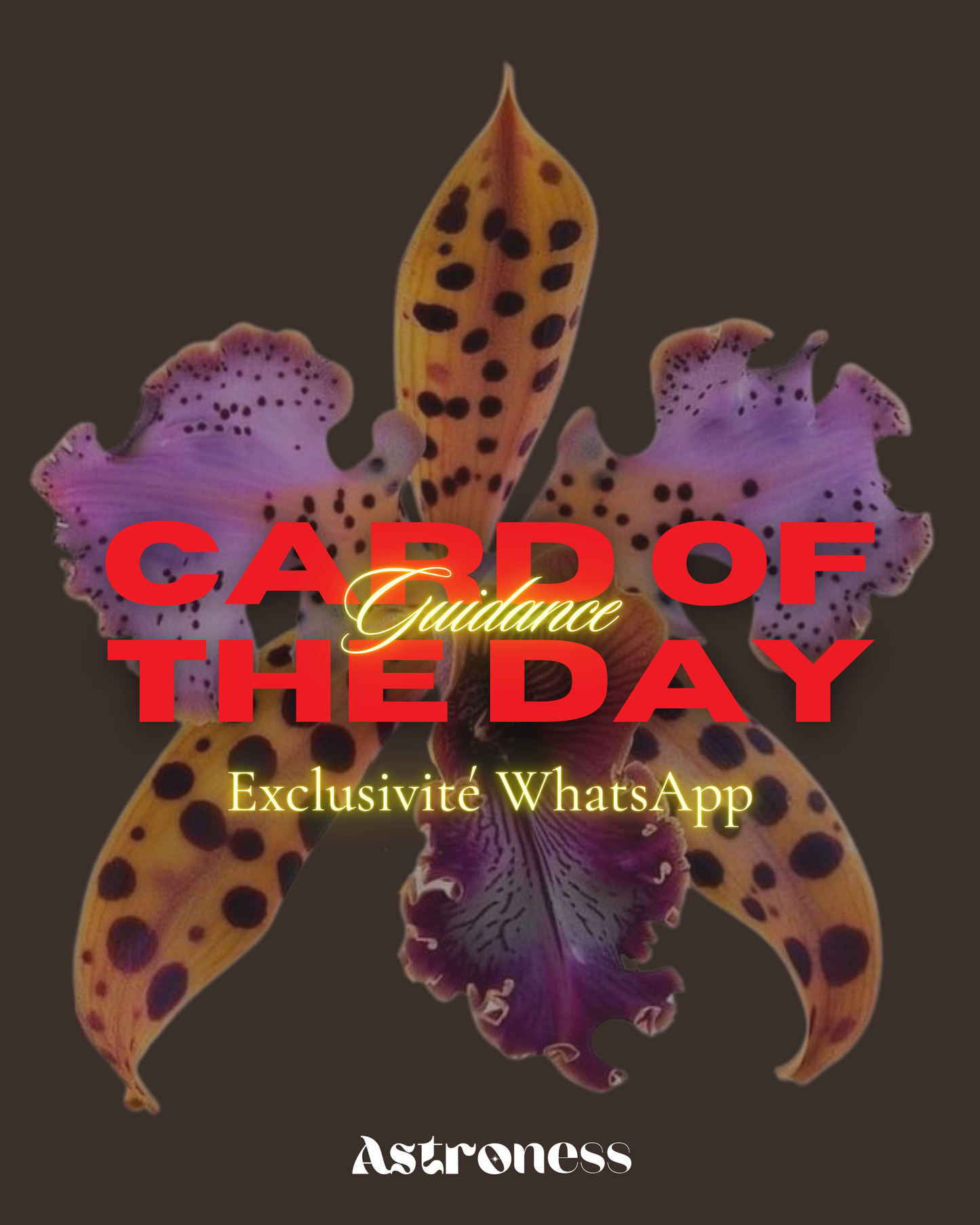 Card Of The Day (Carte du Jour / Semaine)