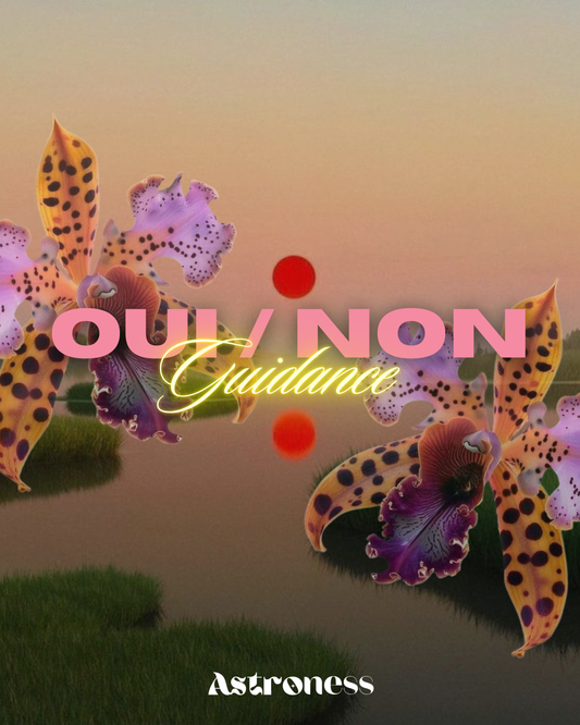 Question Oui / Non Guidance